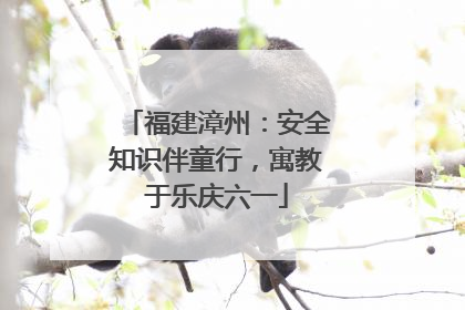 福建漳州：安全知识伴童行，寓教于乐庆六一