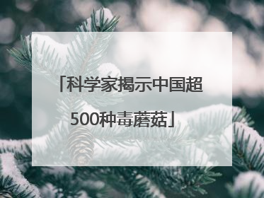 科学家揭示中国超500种毒蘑菇