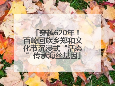 穿越620年！百崎回族乡郑和文化节沉浸式“活态”传承海丝基因
