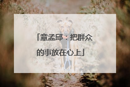 章孟邱：把群众的事放在心上