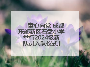 童心向党 成都东部新区石盘小学举行2024级新队员入队仪式