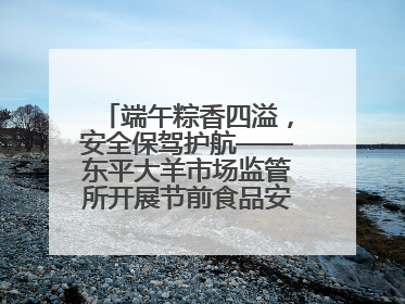 端午粽香四溢，安全保驾护航——东平大羊市场监管所开展节前食品安全专项检查