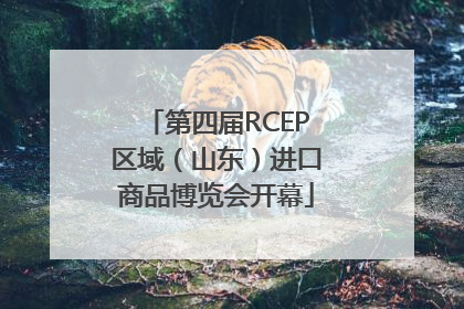 第四届RCEP区域（山东）进口商品博览会开幕