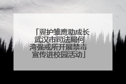 翼护雏鹰助成长 武汉市司法局何湾强戒所开展禁毒宣传进校园活动