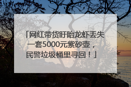 网红带货盱眙龙虾丢失一套5000元紫砂壶，民警垃圾桶里寻回！
