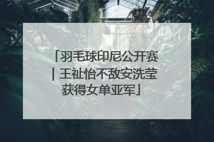 羽毛球印尼公开赛｜王祉怡不敌安洗莹 获得女单亚军