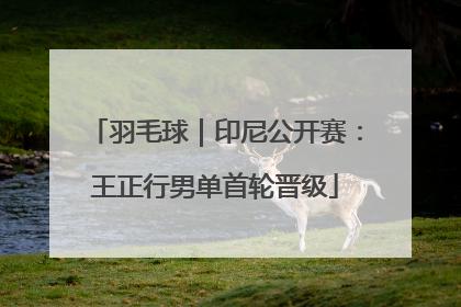 羽毛球｜印尼公开赛：王正行男单首轮晋级