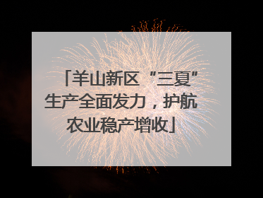 羊山新区“三夏”生产全面发力，护航农业稳产增收