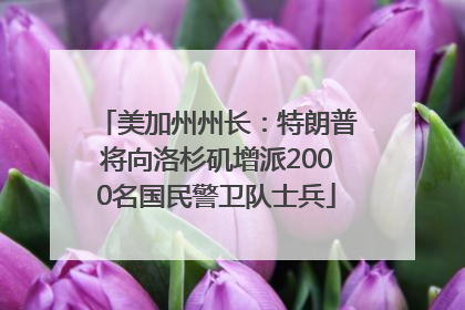 美加州州长：特朗普将向洛杉矶增派2000名国民警卫队士兵