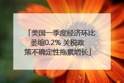 美国一季度经济环比萎缩0.2% 关税政策不确定性拖累增长