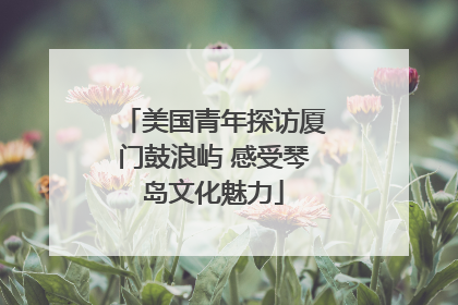 美国青年探访厦门鼓浪屿 感受琴岛文化魅力