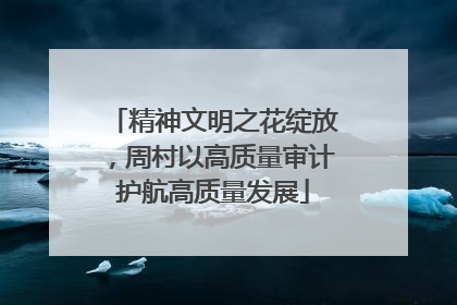 精神文明之花绽放，周村以高质量审计护航高质量发展