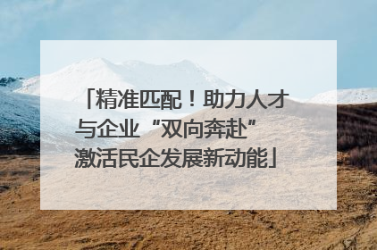 精准匹配！助力人才与企业“双向奔赴” 激活民企发展新动能