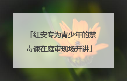 红安专为青少年的禁毒课在庭审现场开讲