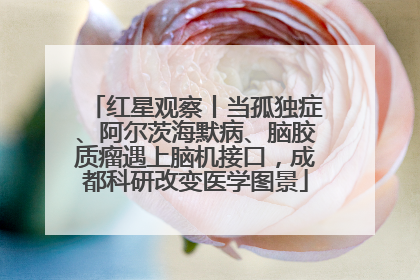 红星观察丨当孤独症、阿尔茨海默病、脑胶质瘤遇上脑机接口，成都科研改变医学图景