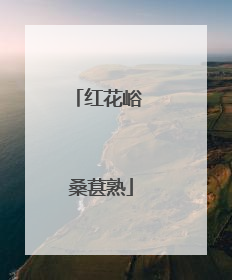 红花峪 桑葚熟