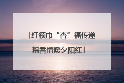 红领巾“杏”福传递 粽香情暖夕阳红