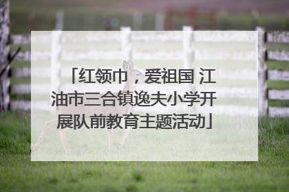 红领巾，爱祖国 江油市三合镇逸夫小学开展队前教育主题活动