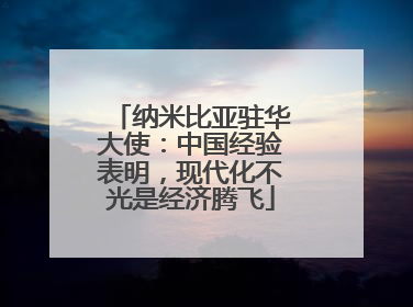 纳米比亚驻华大使：中国经验表明，现代化不光是经济腾飞