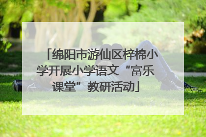 绵阳市游仙区梓棉小学开展小学语文“富乐课堂”教研活动