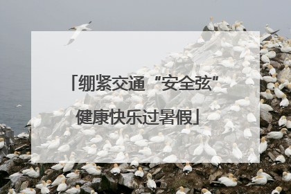 绷紧交通“安全弦” 健康快乐过暑假