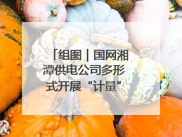 组图｜国网湘潭供电公司多形式开展“计量”主题宣传