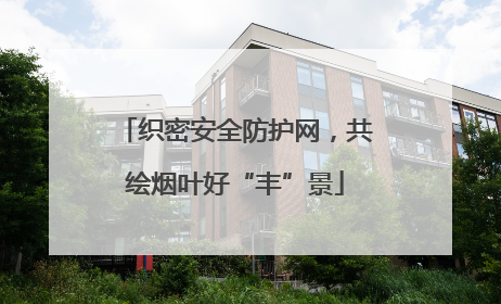 织密安全防护网，共绘烟叶好“丰”景