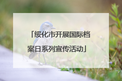 绥化市开展国际档案日系列宣传活动