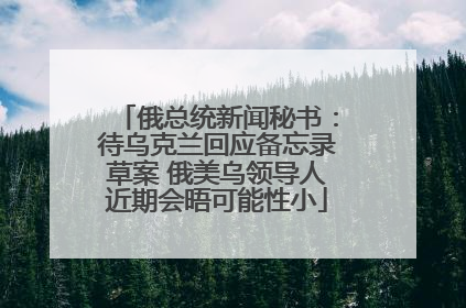 俄总统新闻秘书：待乌克兰回应备忘录草案 俄美乌领导人近期会晤可能性小