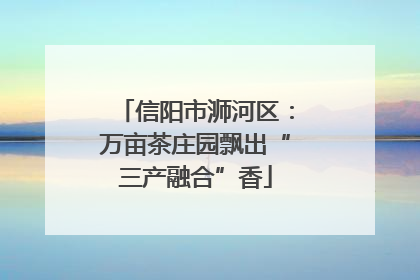 信阳市浉河区：万亩茶庄园飘出“三产融合”香