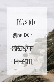信阳市浉河区：葡萄架下日子甜