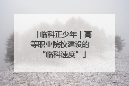 临科正少年｜高等职业院校建设的“临科速度”