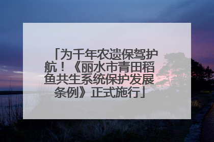 为千年农遗保驾护航！《丽水市青田稻鱼共生系统保护发展条例》正式施行