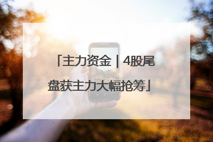 主力资金｜4股尾盘获主力大幅抢筹