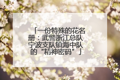一份特殊的花名册：武警浙江总队宁波支队镇海中队的“精神密码”