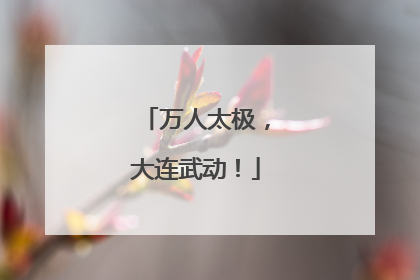 万人太极，大连武动！