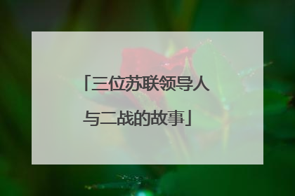 三位苏联领导人与二战的故事