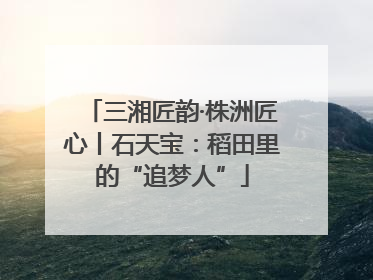三湘匠韵·株洲匠心丨石天宝：稻田里的“追梦人”