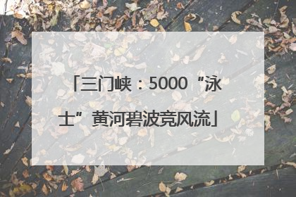 三门峡：5000“泳士”黄河碧波竞风流