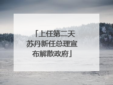 上任第二天 苏丹新任总理宣布解散政府