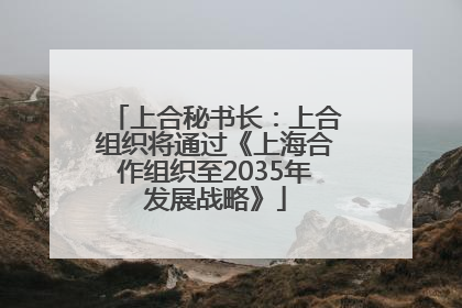 上合秘书长：上合组织将通过《上海合作组织至2035年发展战略》