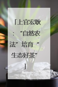 上官宏耿：“自然农法”培育“生态好茶”