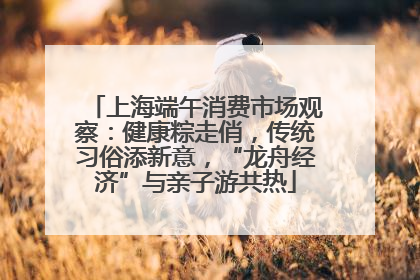 上海端午消费市场观察：健康粽走俏，传统习俗添新意，“龙舟经济”与亲子游共热