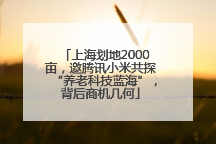 上海划地2000亩，邀腾讯小米共探“养老科技蓝海”，背后商机几何