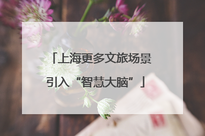 上海更多文旅场景引入“智慧大脑”