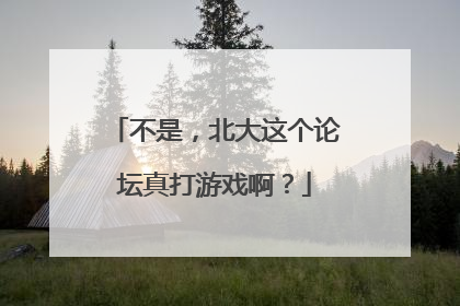 不是，北大这个论坛真打游戏啊？