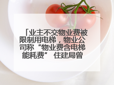 业主不交物业费被限制用电梯，物业公司称“物业费含电梯能耗费” 住建局曾责令整改
