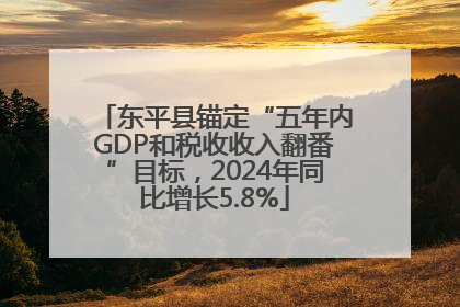 东平县锚定“五年内GDP和税收收入翻番”目标，2024年同比增长5.8%