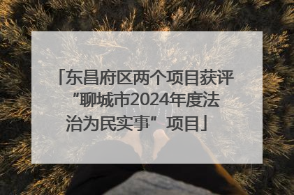 东昌府区两个项目获评“聊城市2024年度法治为民实事”项目