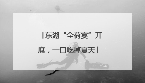 东湖“全荷宴”开席，一口吃掉夏天